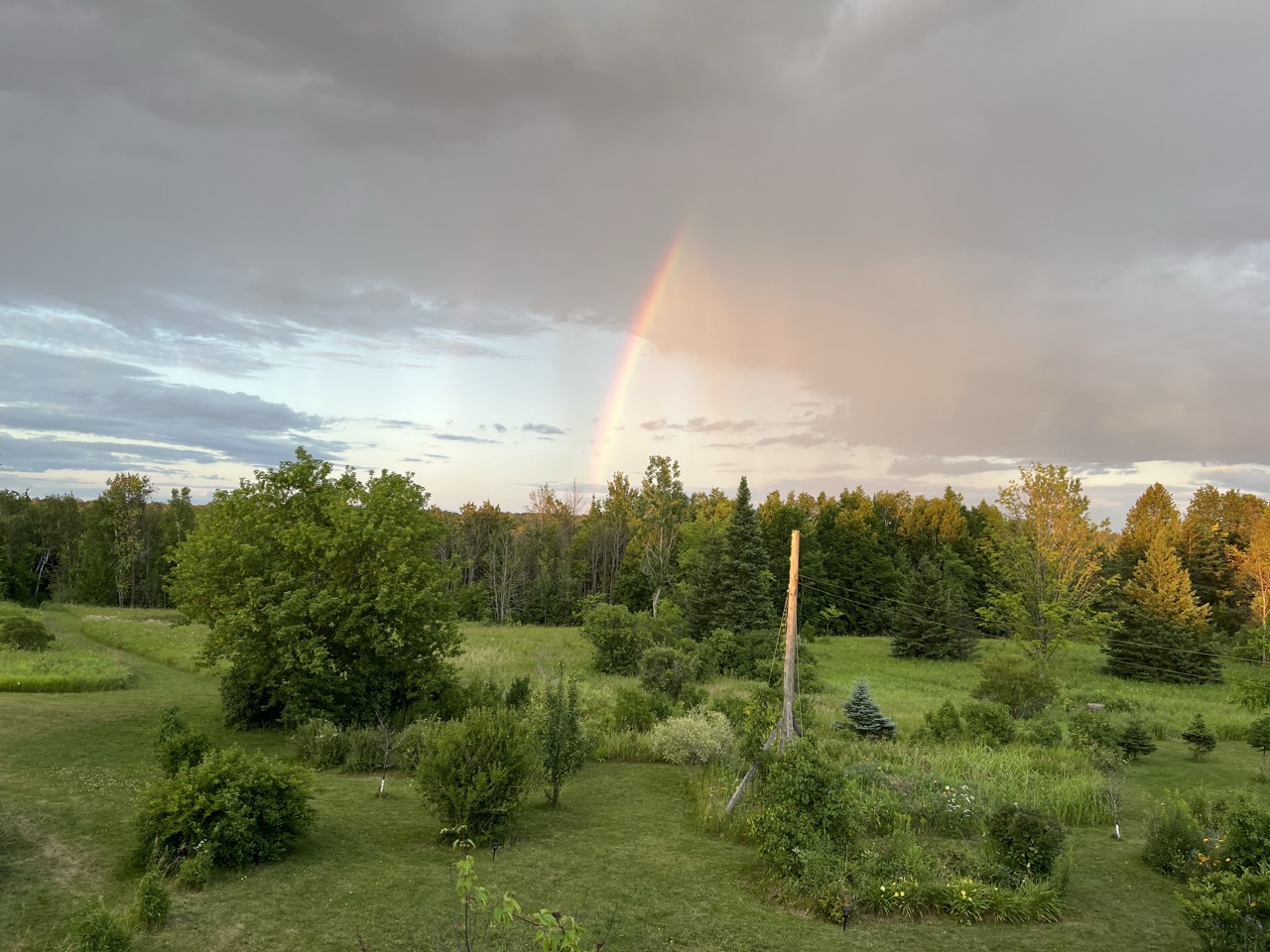 Rainbow over the field